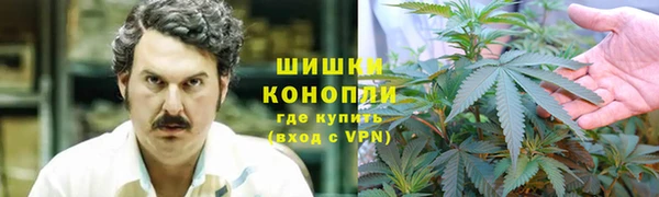 мескалин Касимов