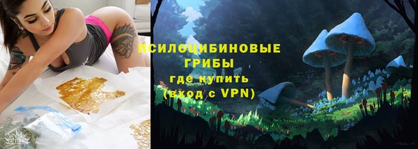 мескалин Касимов